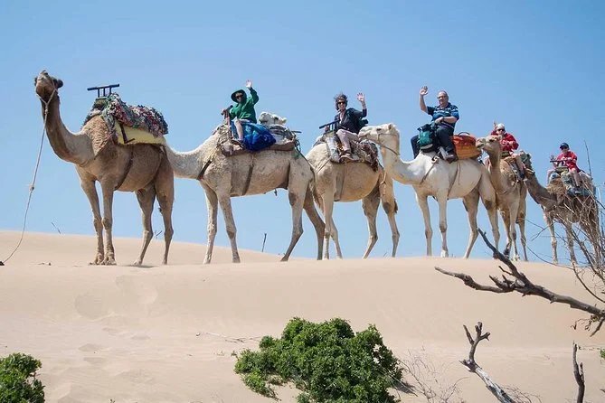 Dunes du Petit Sahara près de Tiznit, au sud d'Agadir